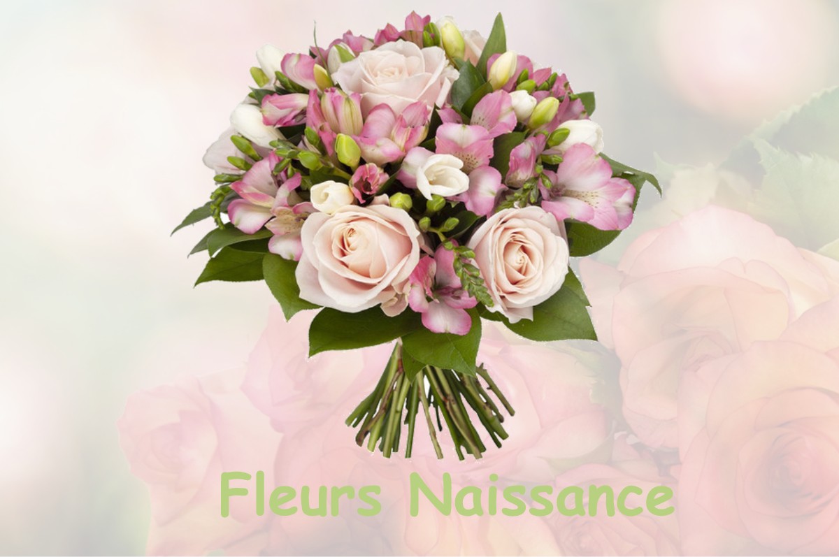 fleurs naissance PONCE-SUR-LE-LOIR